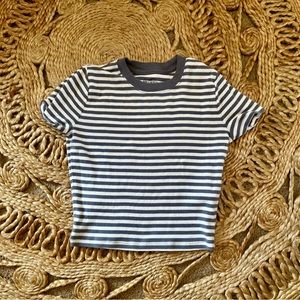 Hollister Cropped Baby Tee